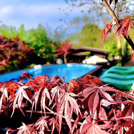 Relais Cascina Al Campaccio Farm stay