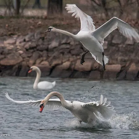 Relais Cascina Al Campaccio مزرعة للإقامة *