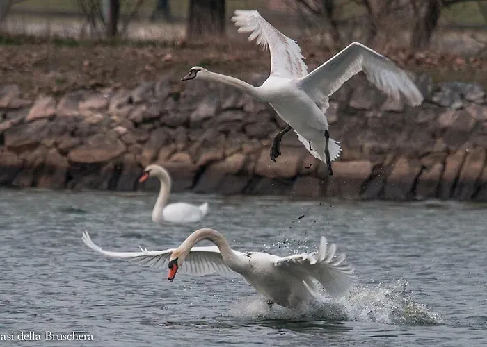 Relais Cascina Al Campaccio Alojamento de Turismo Rural *